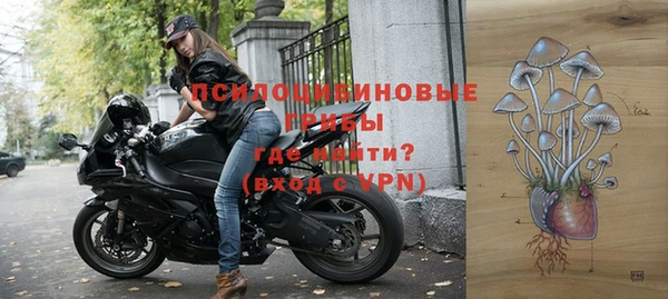 эйфоретик Дмитров