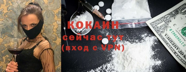 эйфоретик Дмитров