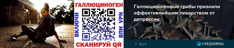 Галлюциногенные грибы Psilocybine cubensis  blacksprut ссылки  Черкесск 